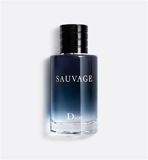 waar ruikt dior sauvage naar|Sauvage: de wereld van de iconische herengeur van Dior .